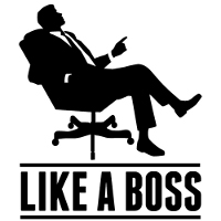 like a boss !