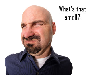 smell